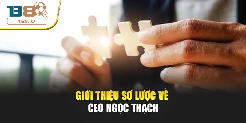 Giới thiệu sơ lược về CEO Ngọc Thạch