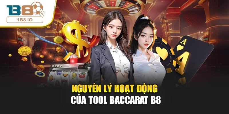 Nguyên lý hoạt động của tool baccarat B8
