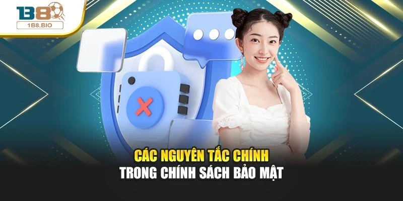 Các nguyên tắc chính trong chính sách bảo mật