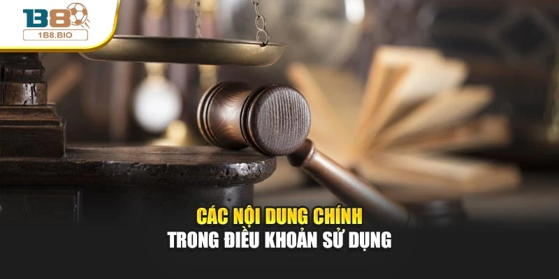 Các nội dung chính trong điều khoản sử dụng