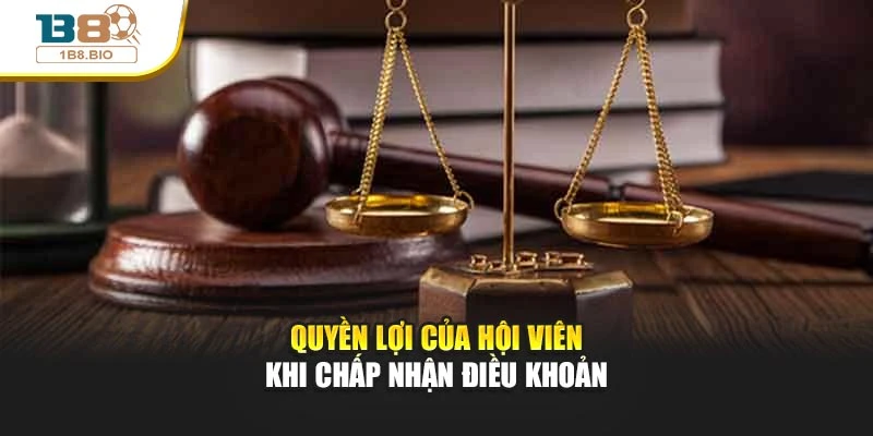 Quyền lợi của hội viên khi chấp nhận điều khoản