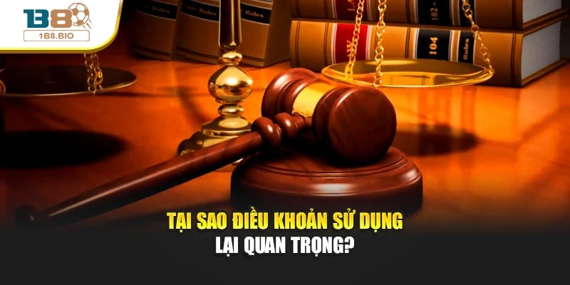 Tại sao điều khoản sử dụng lại quan trọng